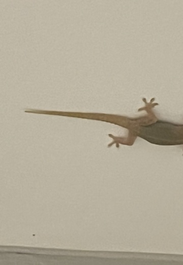 Daniel (@daniel13881) — my photo № 1