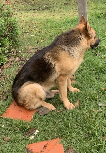 Sebastián (@sebastin211) — my photo № 4