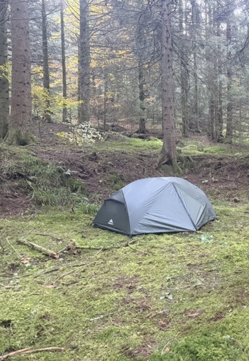 Baxter (@baxter37) — mein Foto #3