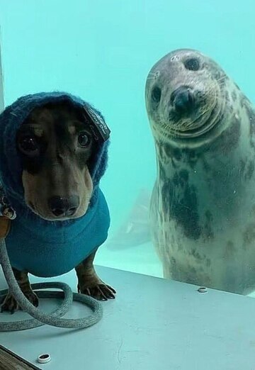 Imya (@imya10141) — my photo № 1