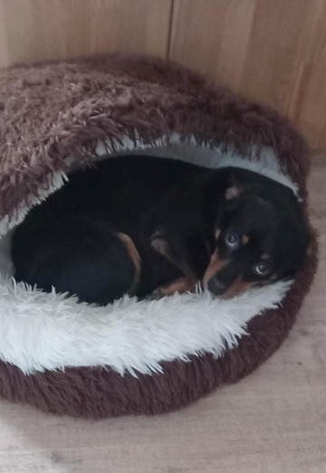 Hemidzi (@hemidzi) — my photo № 1