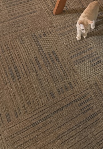 Miguel (@miguel1543) — my photo № 2