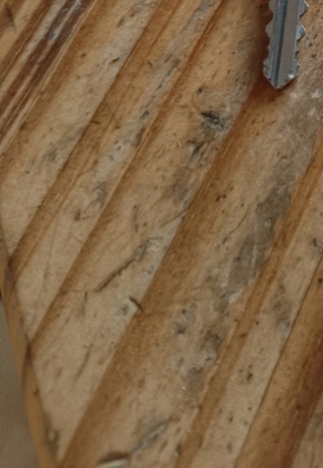 Roger Trenkelbach (@rogertrenkelbach) — my photo № 1