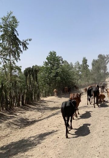 Bernhard (@bernhard25) — my photo № 1