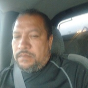 Gabriel 49 Chantilly