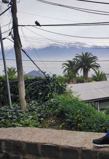 Christian (@christian1992) — my photo № 2