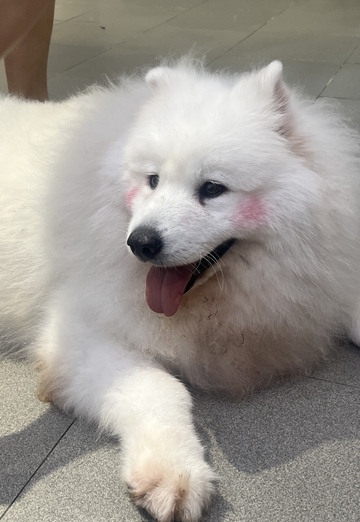 Yoyo (@yoyohu) — my photo № 1