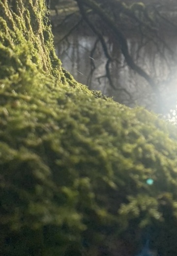 Jörg (@jorg68) — my photo № 1