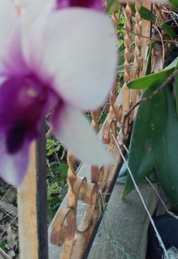 Werner (@werner133) — my photo № 1