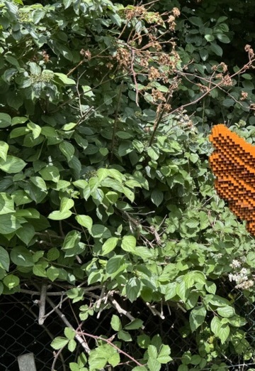 Jay Williams (@jaywilliams4) — my photo № 1