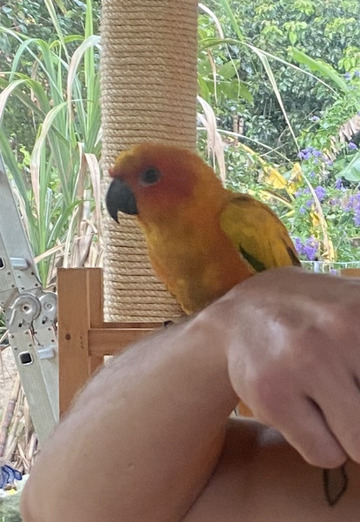 Tommy (@tommy1253) — my photo № 3