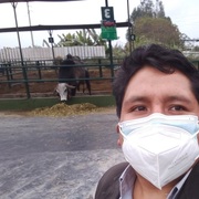 Alfred 36 Huaraz