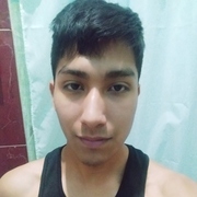 Logan 19 Loja