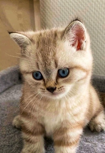 Dan (@daxxel) — my photo № 5